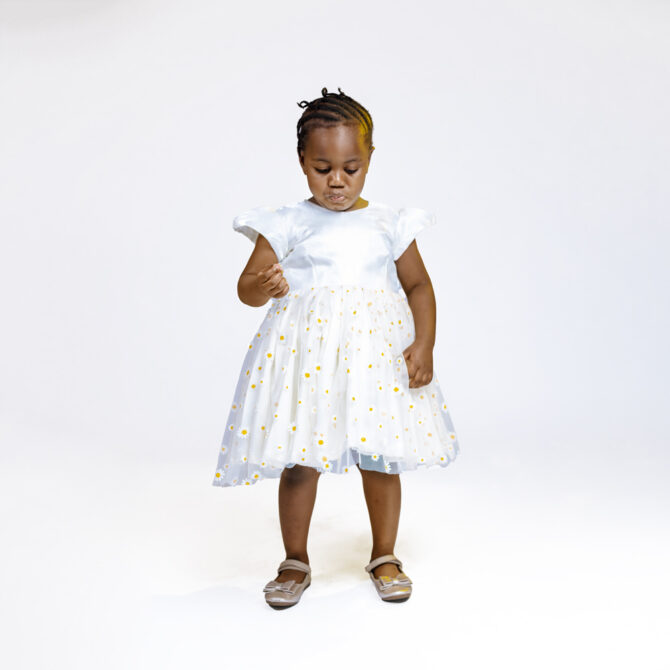 Idunu Dress (Fley)