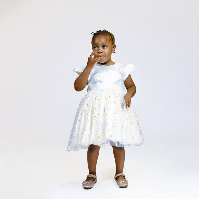 Idunu Dress (Fley) - Image 2